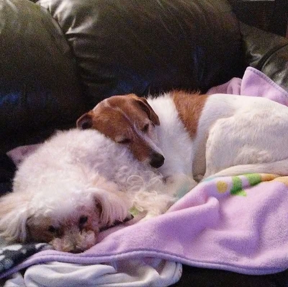 Meet your Posher, Kaitlin - Picture 4 of 5